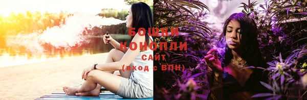 PSILOCYBIN Богданович