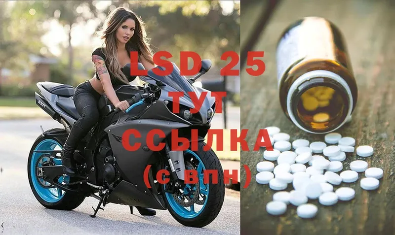 Лсд 25 экстази ecstasy  Шагонар 