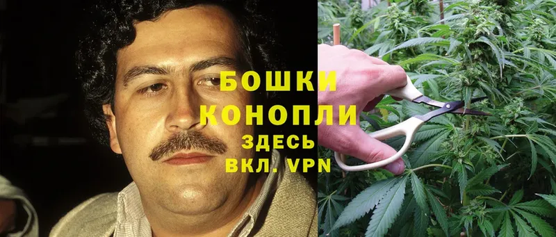 мега сайт  Шагонар  МАРИХУАНА Ganja 